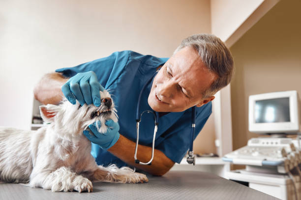 Best Emergency Tooth Extraction in Kulpsville, PA