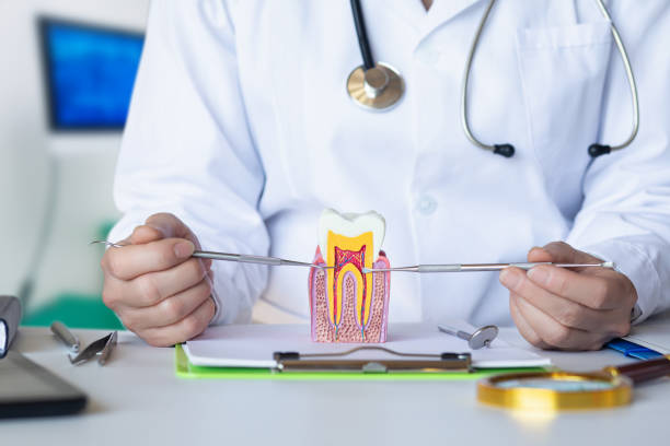 Best Emergency Dental Care for Broken or Chipped Teeth in Kulpsville, PA